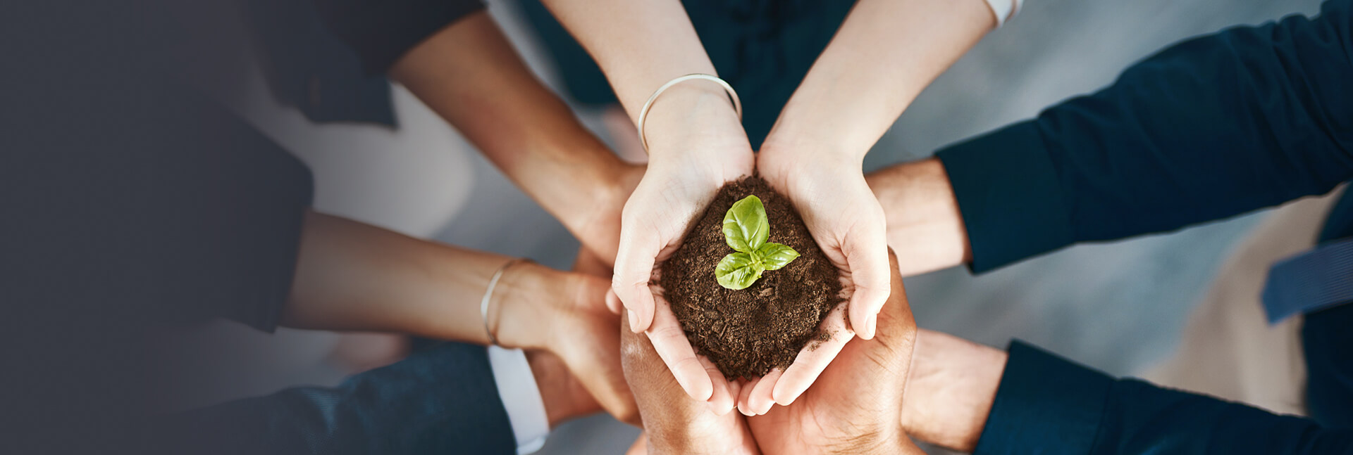 Social responsibility